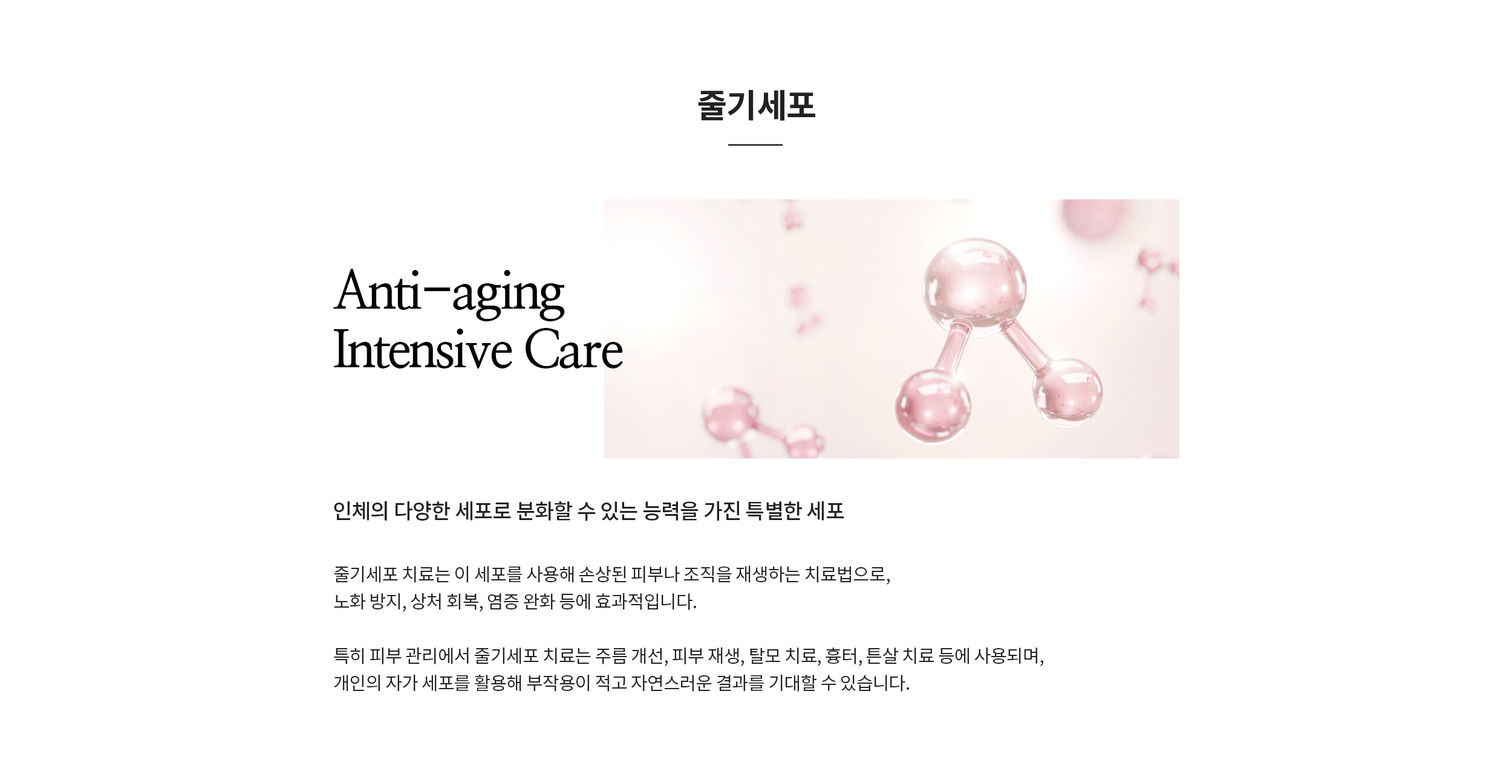 줄기세포 Anti-aging Intensive Care