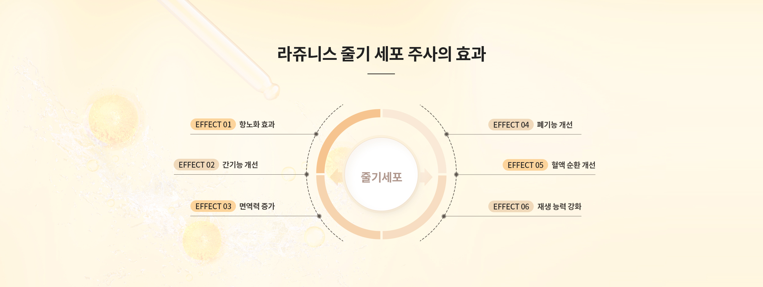 라쥬니스 줄기세포 주사의 효과