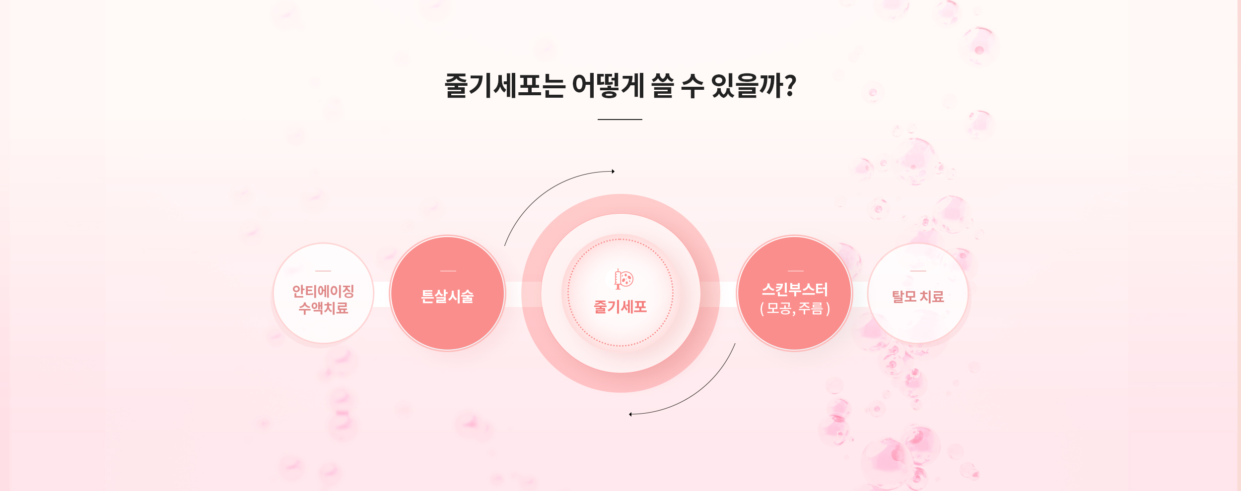 줄기세포 피부시술, 어떻게 쓸 수 있을까?