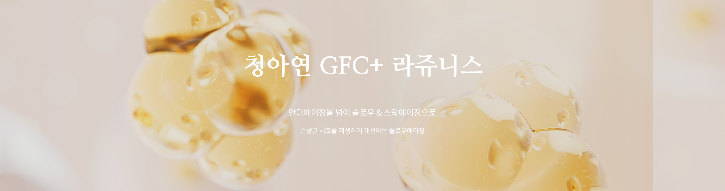 청아연 GFC+ 줄기세포