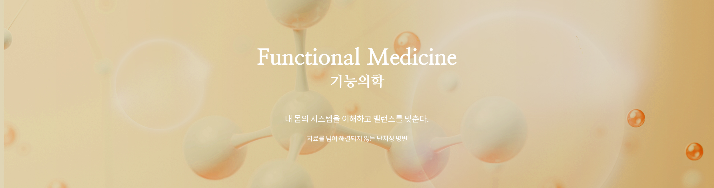 기능의학(Functional Medicine) / 수액주사