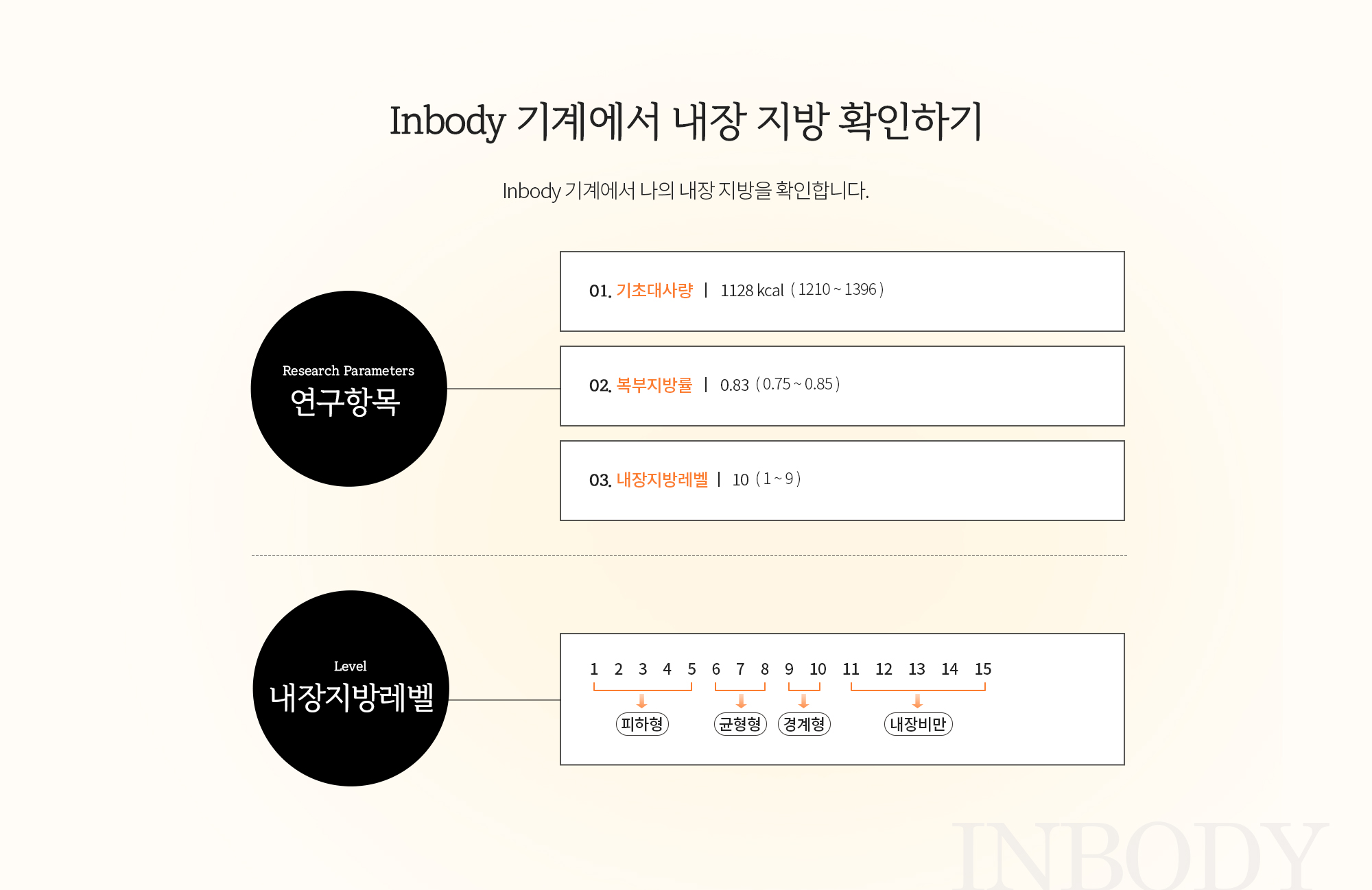 InBody 기계로 내장지방 확인하기